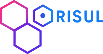 Orisul Digital Agency